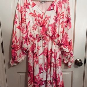 White Birch Pink and White Floral Dress